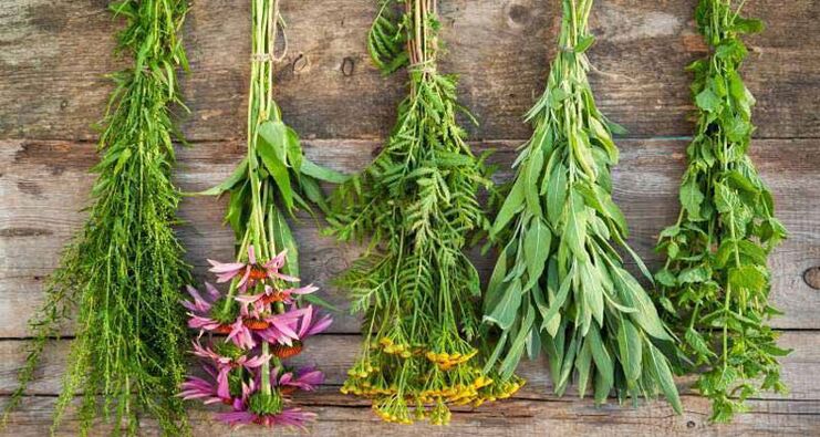 Plants in folk medicine for the treatment of prostatitis in men