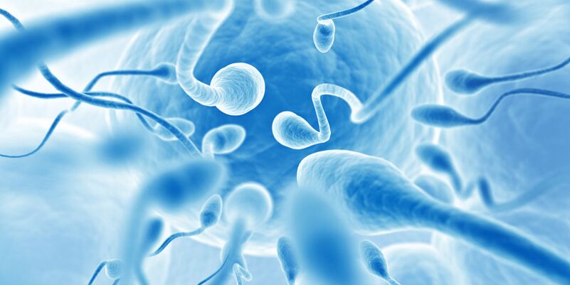Premature spill to men with chronic prostate